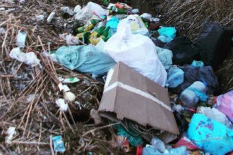 В Тверской области коммунальщиков заставили убрать свалку на побережье