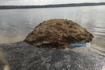 На месте крушения тверского Ан-22 под Иваново появился стихийный мемориал