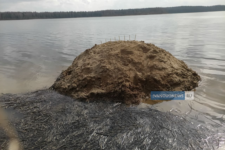 На месте крушения тверского Ан-22 под Иваново появился стихийный мемориал