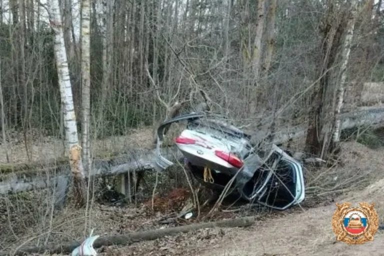 В Тверской области в ДТП пострадали три человека