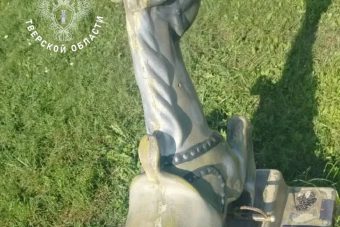 Детский сад в Тверской области заплатит ребенку за падение с лошадки