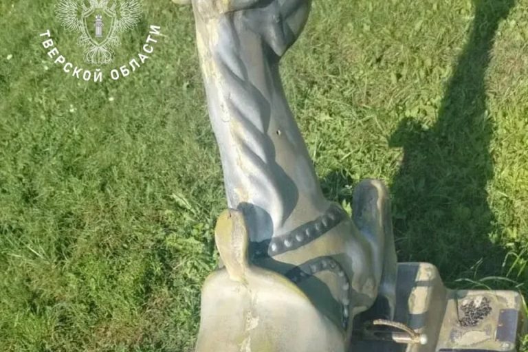 Детский сад в Тверской области заплатит ребенку за падение с лошадки