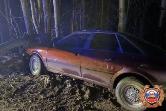 Четыре человека пострадали при столкновении легковушки с деревом в Тверской области