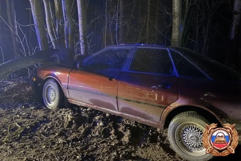 Четыре человека пострадали при столкновении легковушки с деревом в Тверской области