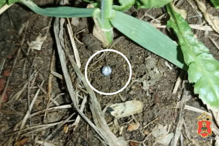 Стрельбой закончился конфликт мужчин в Тверской области