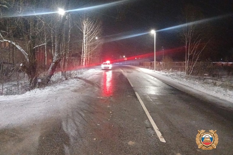 В Тверской области водитель сбил 8-летнюю девочку и скрылся с места ДТП