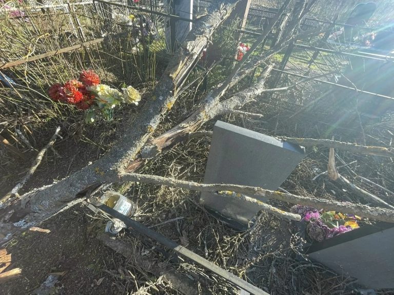 Сильный ветер разгромил кладбище в Тверской области