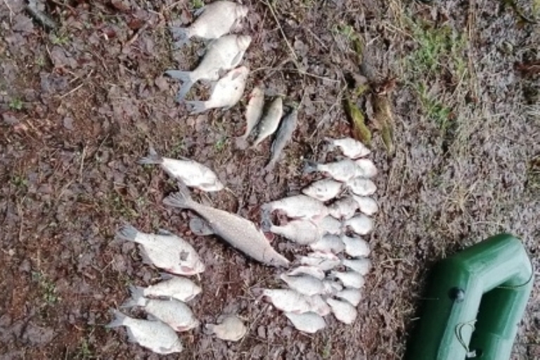 Рыбак с сетью попался с поличным в Тверской области