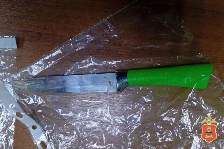 В Тверской области мужчина набросился с ножом на тёщу