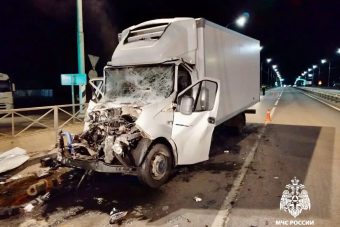 Жителей Тверской области просят пожалеть лягушек Жителей Тверской области просят пожалеть лягушек