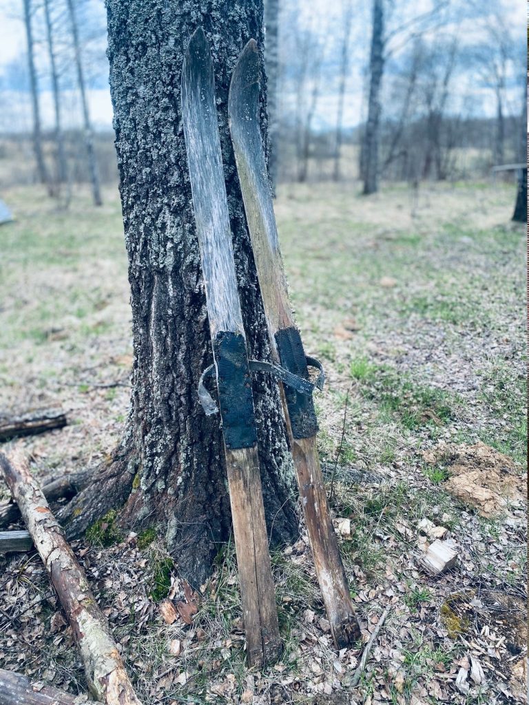 Кукурузное поле в Тверской области буквально усеяно человеческими костями