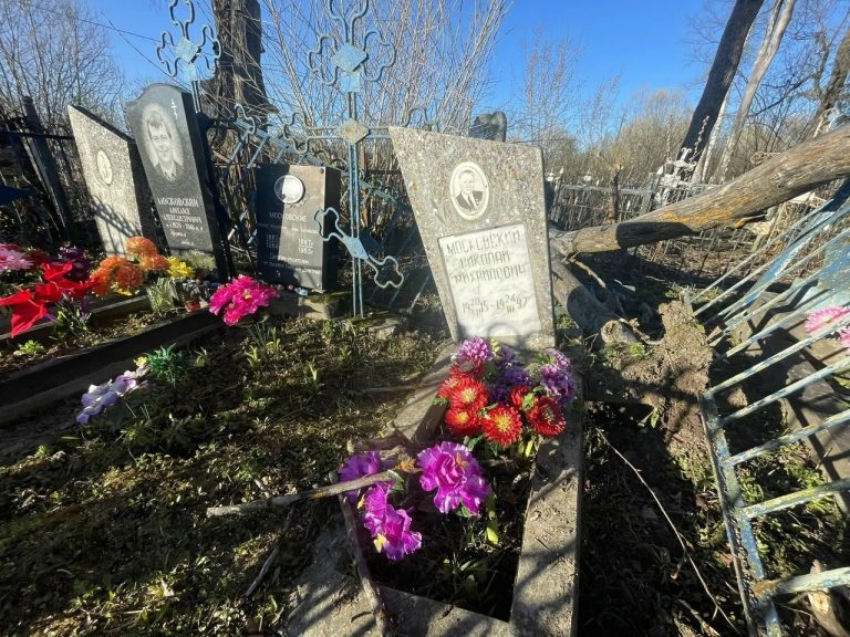 Сильный ветер разгромил кладбище в Тверской области