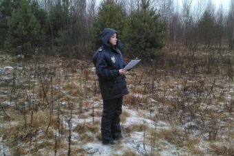 Десятки гектаров заросших сельхозугодий выявлены в Тверской области