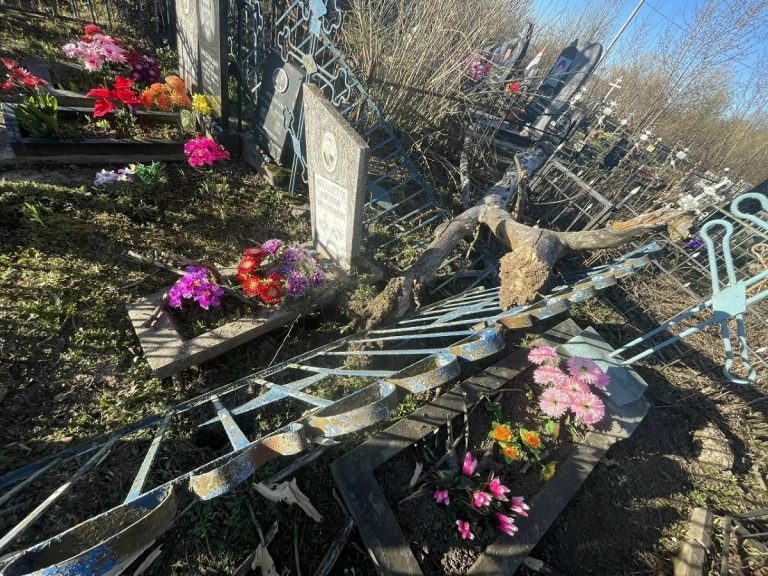 Сильный ветер разгромил кладбище в Тверской области