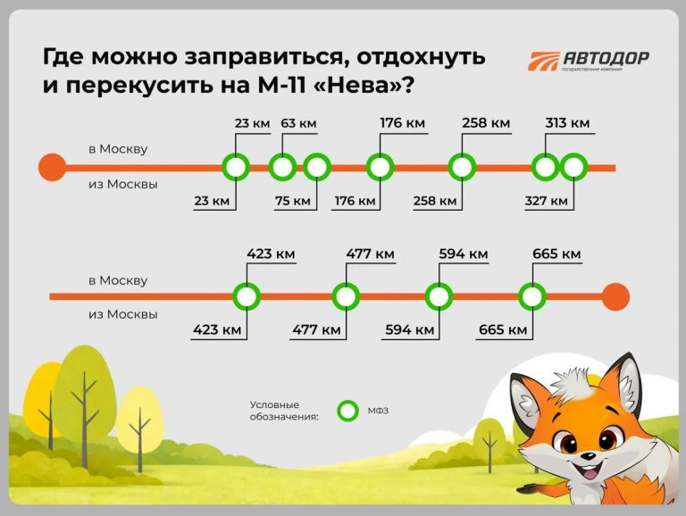 Названы места, где можно заправиться, отдохнуть и перекусить на трассе М-11