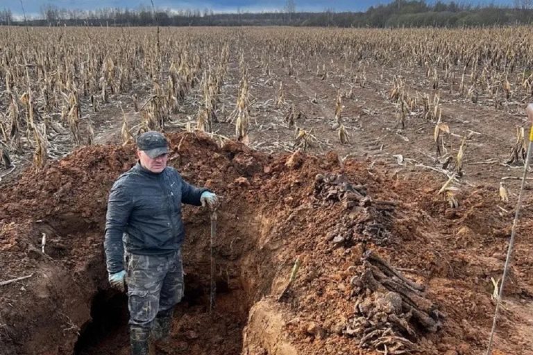 Кукурузное поле в Тверской области буквально усеяно человеческими костями