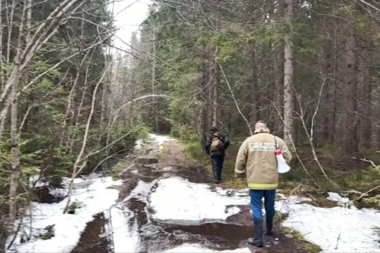 В Тверской области спасатели вывели из леса заблудившуюся женщину