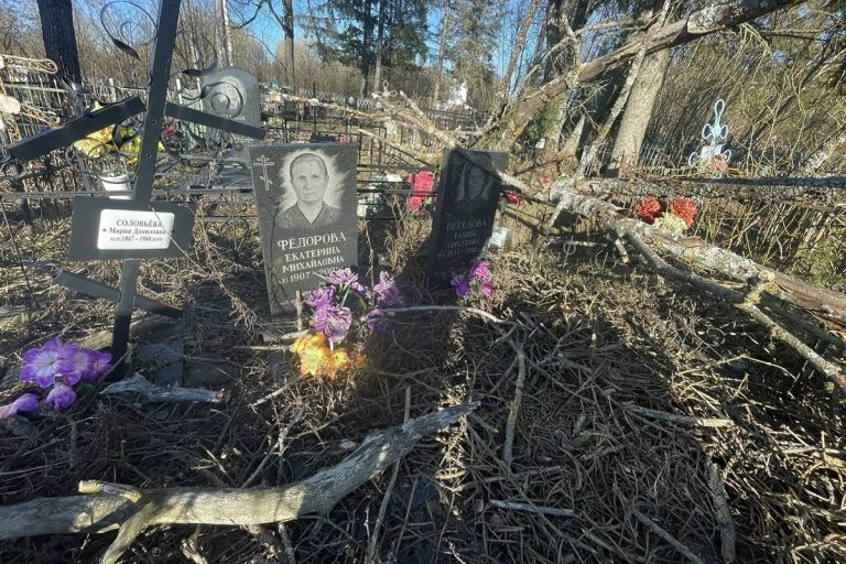 Сильный ветер разгромил кладбище в Тверской области