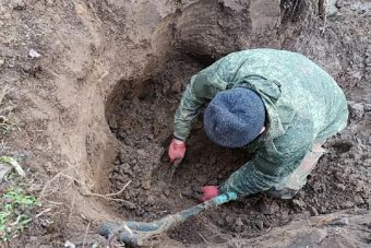 В Тверской области мальчишка нашел человеческие кости