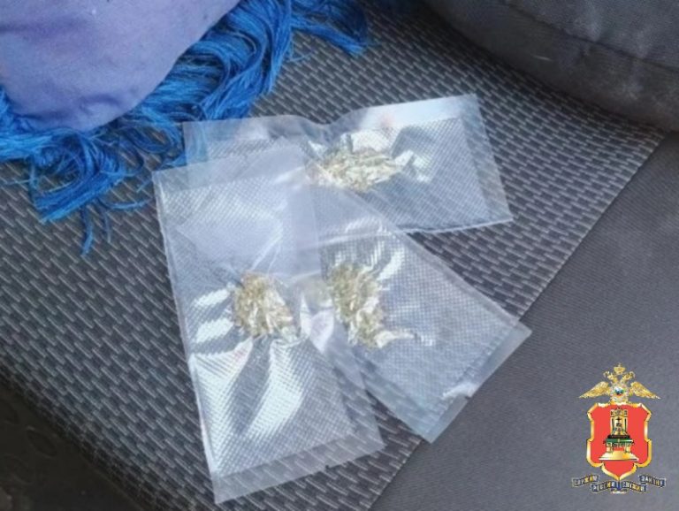 В Тверской области на проселочной дороге задержали наркоагронома