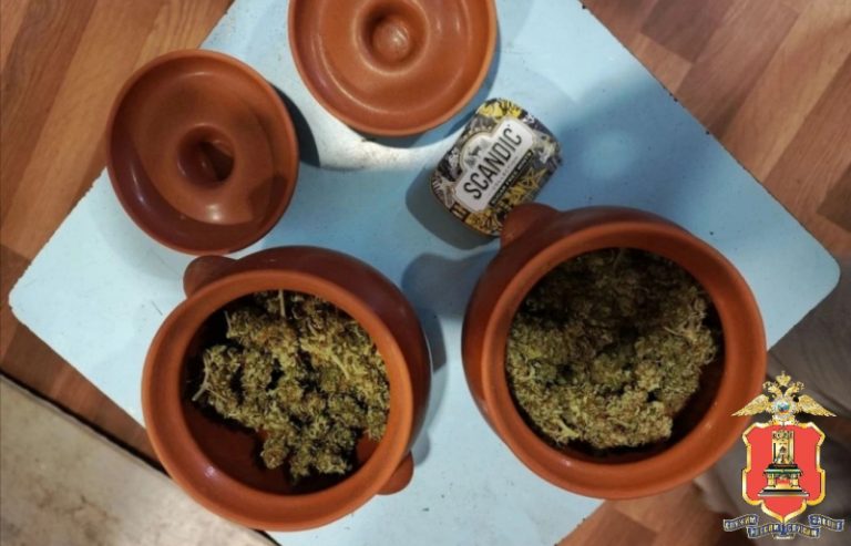 В Тверской области на проселочной дороге задержали наркоагронома