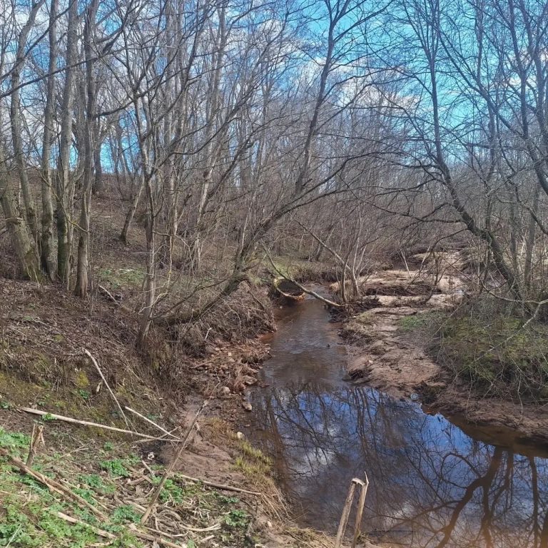 В Тверской области мальчишка нашел человеческие кости