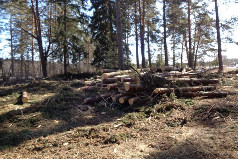 На пахотных землях в Тверской области обнаружили бревна и дорогу