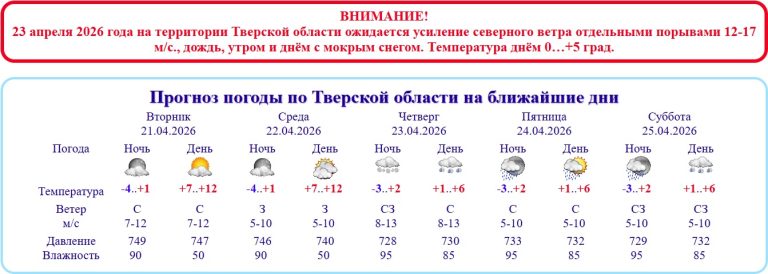 Жителей Тверской области экстренно предупредили о снегопаде