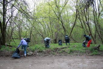 Тверская область примет участие в масштабном Всероссийском субботнике