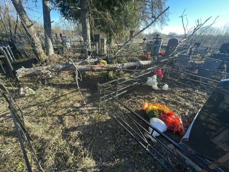 Сильный ветер разгромил кладбище в Тверской области