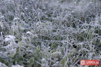 На вокзал в Твери активно несут пустую тару