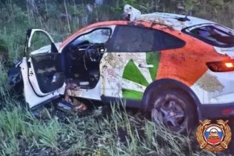 На М-10 в Тверской области кроссовер сбил лося
