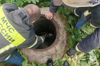 В Тверской области собаку спасли от верной гибели