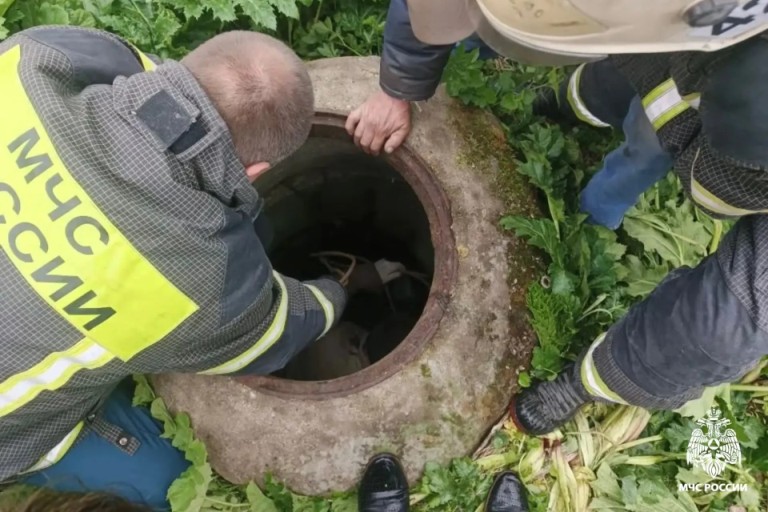 В Тверской области собаку спасли от верной гибели