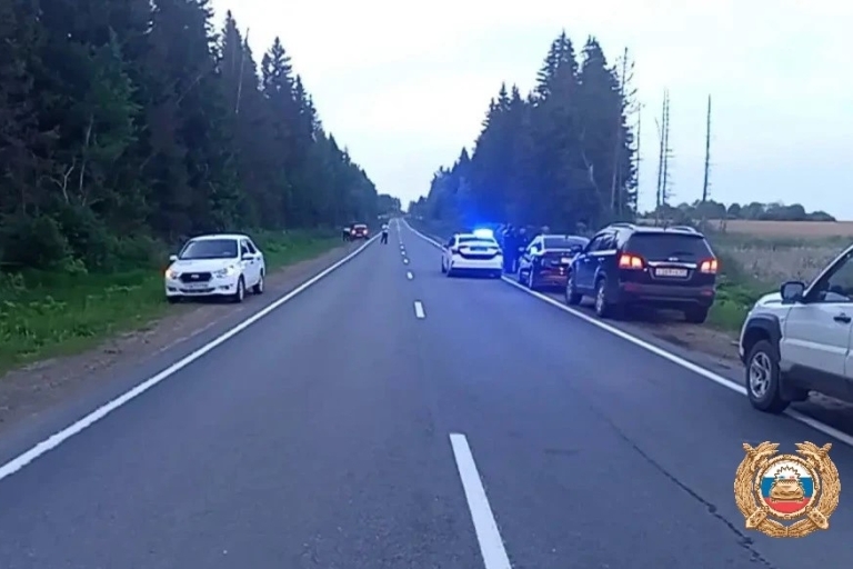 Годовалая девочка вылетела из автомобиля после ДТП с лосем в Тверской области