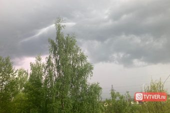 Названы районы Тверской области, где прольется ливень и грянет гром
