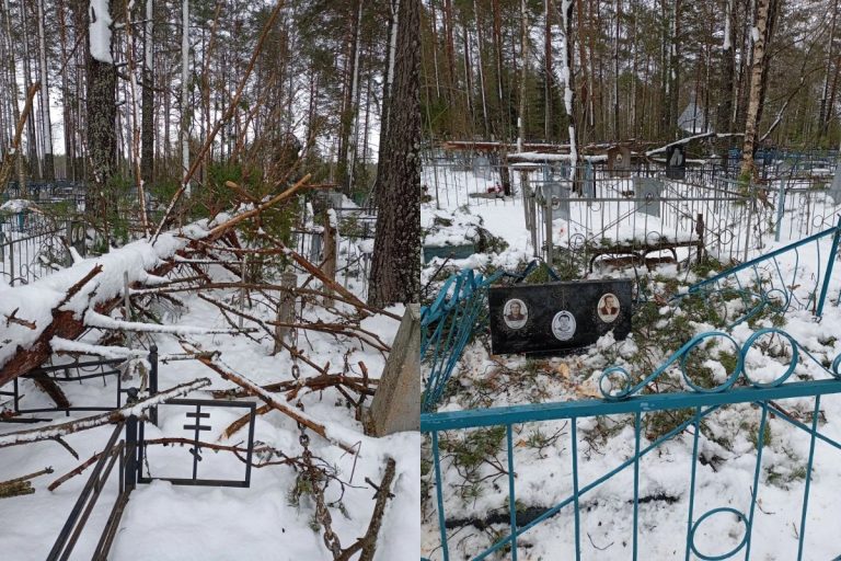 Кладбища в Тверской области оказались завалены деревьями