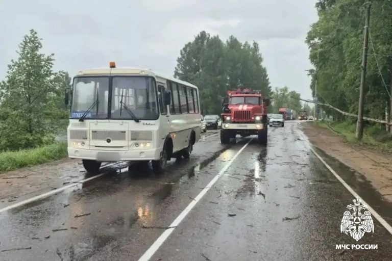 В Тверской области дорогу завалило деревьями