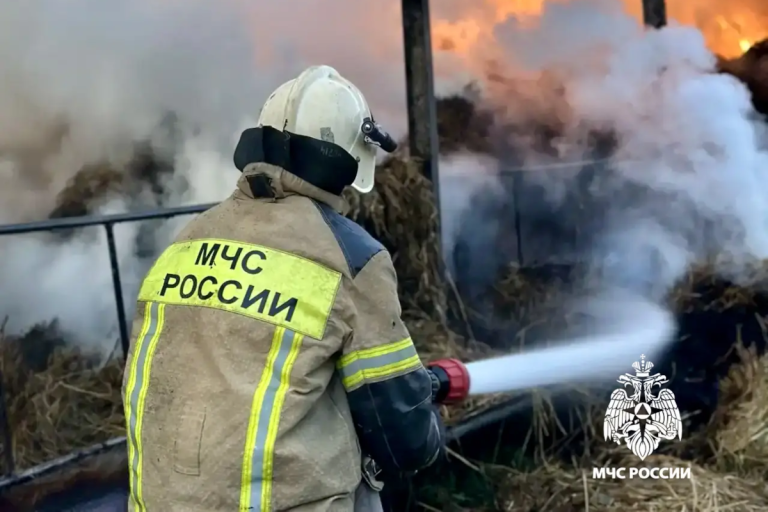 Под Тверью сгорели запасы сена
