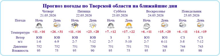 Характер погоды в Тверской области через считанные часы изменит круглосуточная гроза