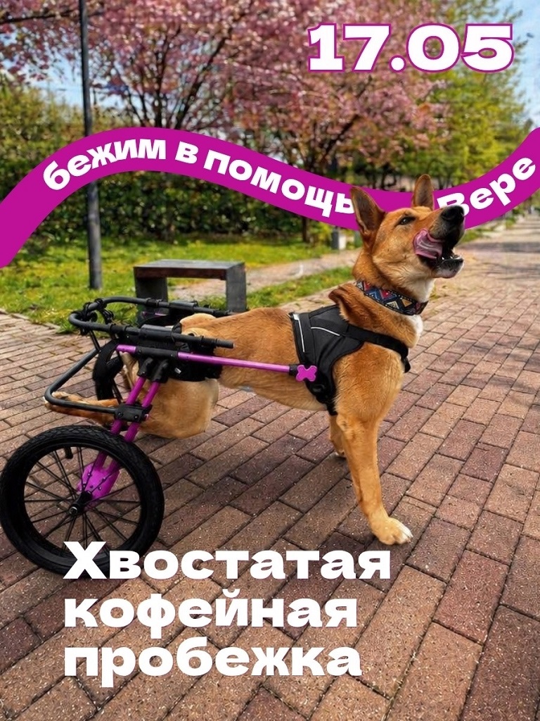 ТОП - 5 событий Твери на 15 – 17 мая