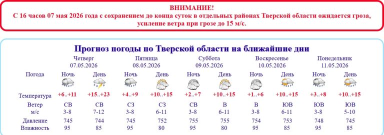 В Тверской области объявлено штормовое предупреждение о грозе