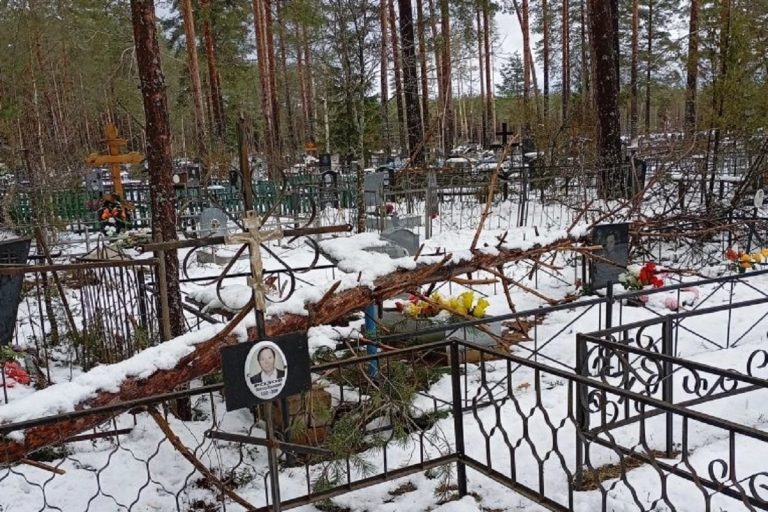 Кладбища в Тверской области оказались завалены деревьями