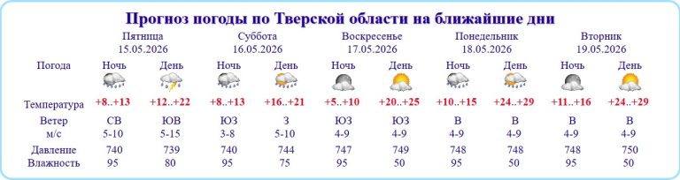 Жителей Тверской области предупредили об аномальной жаре