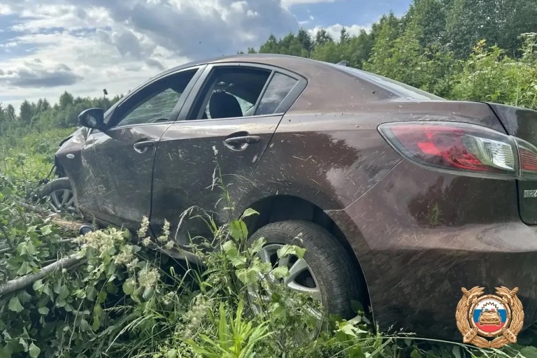 В Тверской области Mazda вылетела в кювет, есть пострадавший