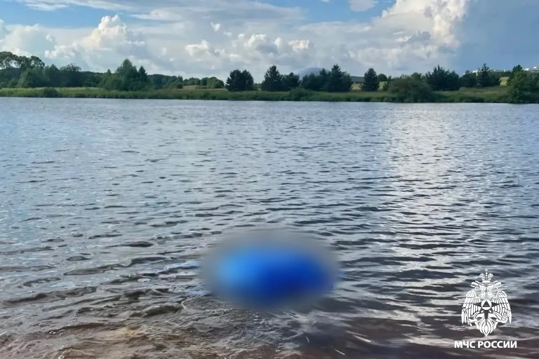 Мужчина утонул в реке Дойбице в Тверской области