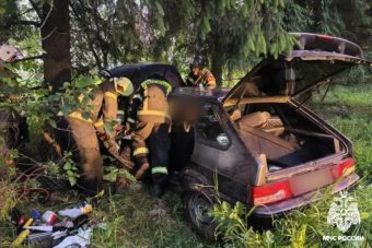 В Тверской области ВАЗ вылетел с дороги, пострадали двое