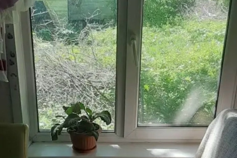 В Тверской области 3-летняя девочка выпала из окна