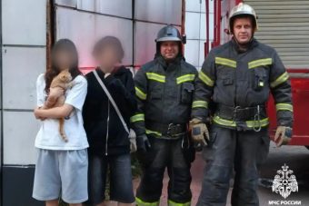 В Тверской области сотрудники МЧС спасли сбежавшего кота