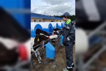 Школьники Тверской области получают полезные опыт и знания